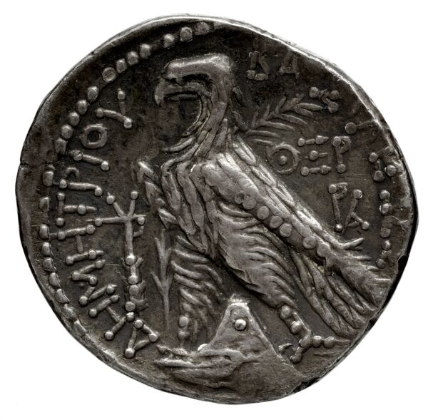 реверс Seleucid Coins (part 2) 1959.3d