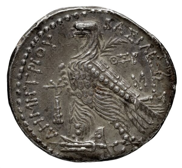 реверс Seleucid Coins (part 2) 1959.3c