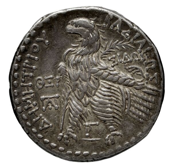 реверс Seleucid Coins (part 2) 1954.3b