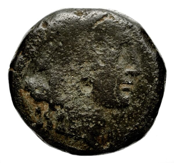 аверс Seleucid Coins (part 2) 1972.2b