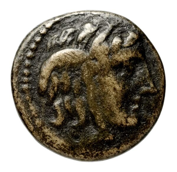 obverse Seleucid Coins (part 1) 23