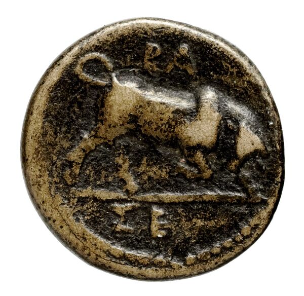 reverse Seleucid Coins (part 1) 23