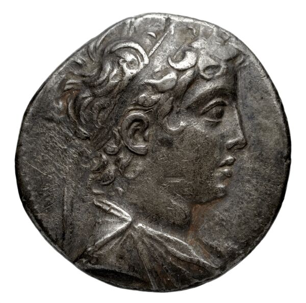 аверс Seleucid Coins (part 2) 1959.4a