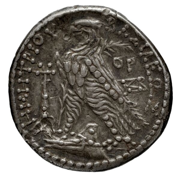 реверс Seleucid Coins (part 2) 1959.4a