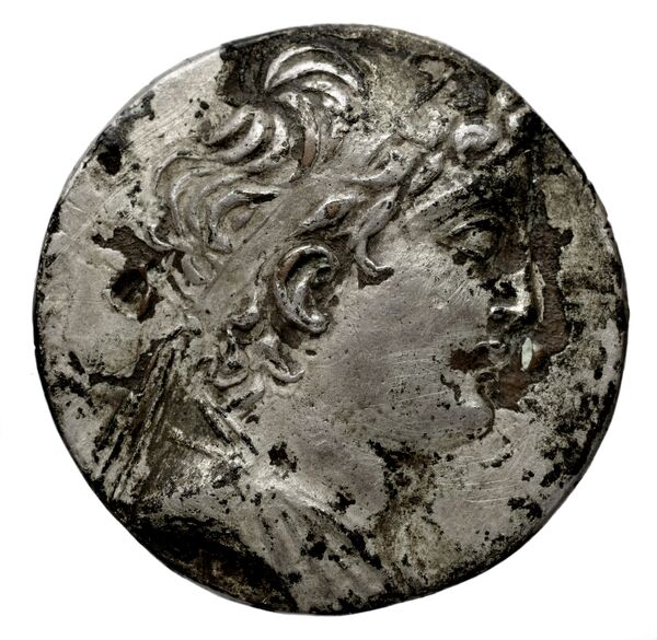 Seleucid Coins (part 2) 1959.4a, аверс, bnf-hrc