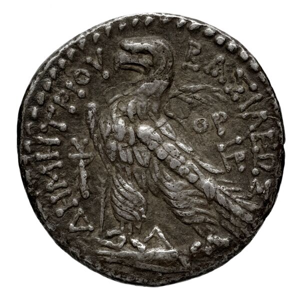 реверс Seleucid Coins (part 2) 1963.4b
