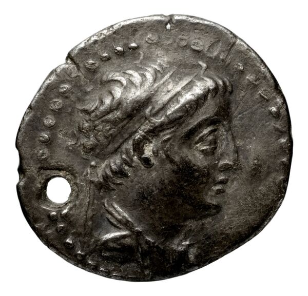 obverse Seleucid Coins (part 2) 1955.2b