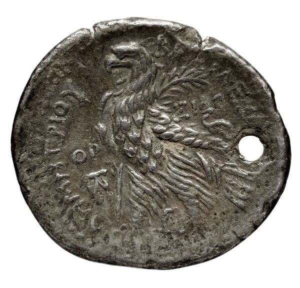 reverse Seleucid Coins (part 2) 1955.2b