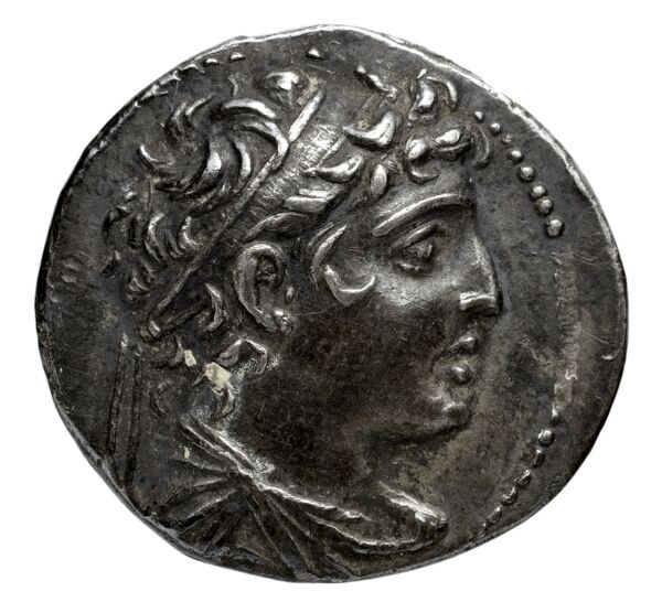 аверс Seleucid Coins (part 2) 1962.1a
