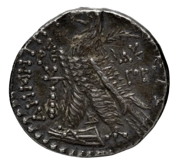реверс Seleucid Coins (part 2) 1962.1a