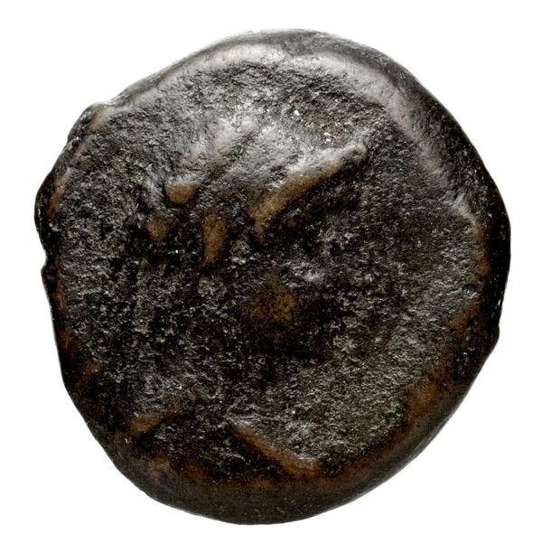 аверс Seleucid Coins (part 2) 1975.2