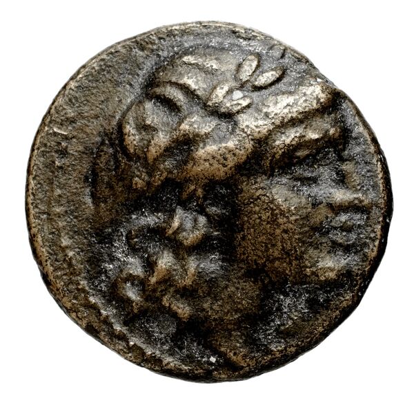 аверс Seleucid Coins (part 1) 951
