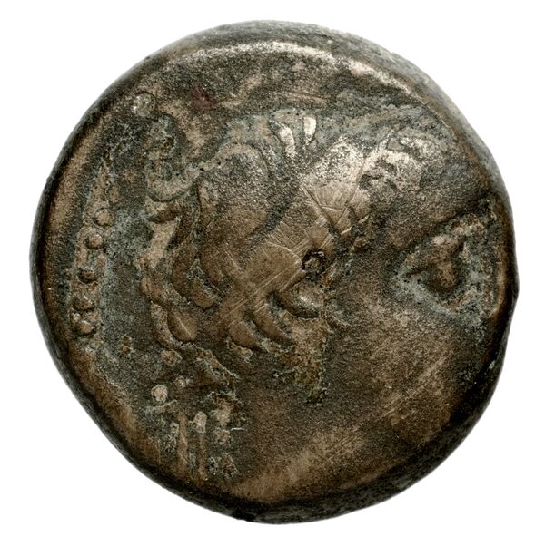 аверс Seleucid Coins (part 2) 1968.3