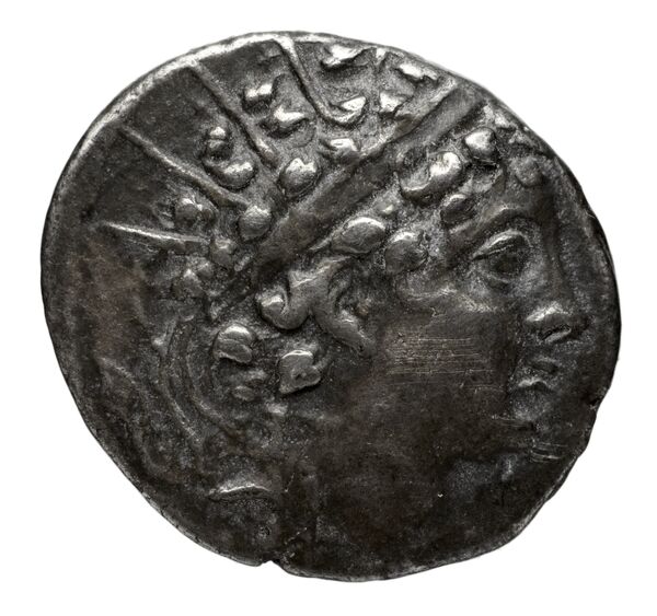 аверс Seleucid Coins (part 2) 2002.1d