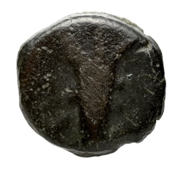 аверс Seleucid Coins (part 2) 2069a