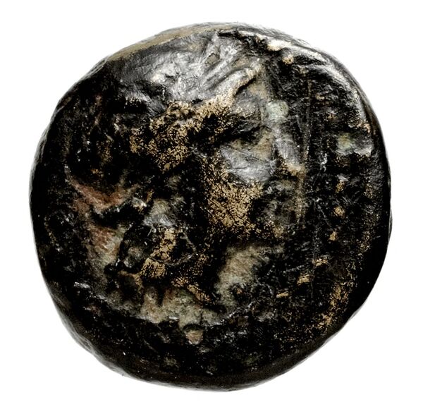 аверс Seleucid Coins (part 1) 326
