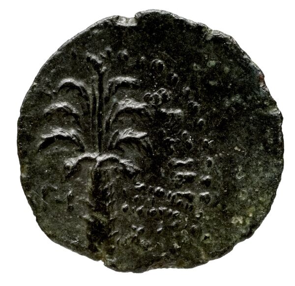Seleucid Coins (part 2) 1970.2, реверс, bnf-hrc