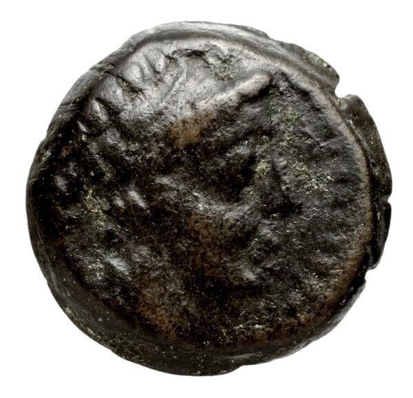 Seleucid Coins (part 2) 1970.2, аверс, bnf-hrc