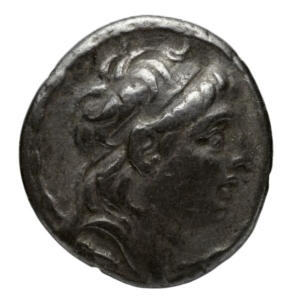 аверс Seleucid Coins (part 2) 2062.2e