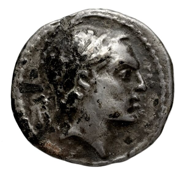 аверс Seleucid Coins (part 2) 1559.10