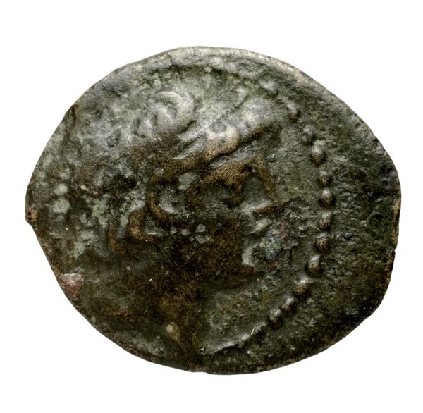 аверс Seleucid Coins (part 2) 2199.2