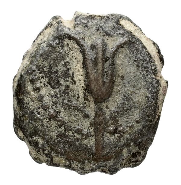 Seleucid Coins (part 2) 2123, аверс, bnf-hrc