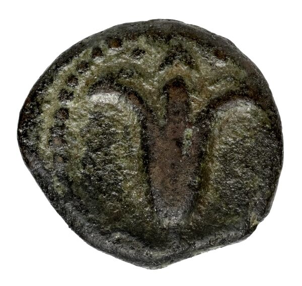 obverse Seleucid Coins (part 2) 2123.2