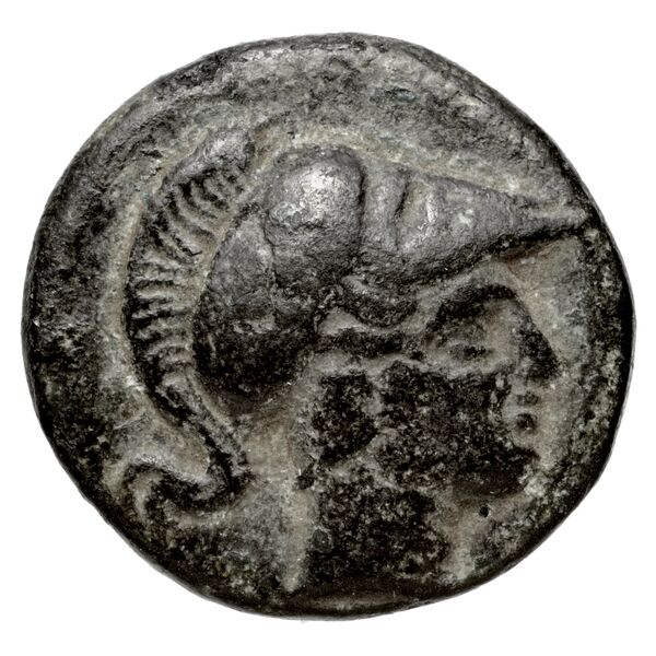 Newell Demetrius Poliorcetes, no. 163, аверс, bnf-hrc