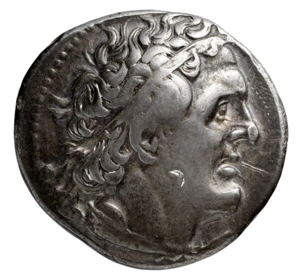 Coins of the Ptolemaic Empire Vol. I, Part 1, no. 142, obverse, bnf-hrc