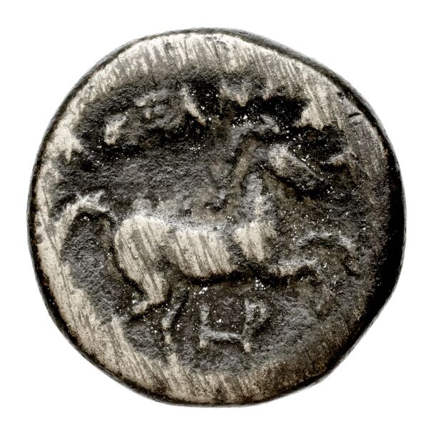 Price 369, реверс, bnf-hrc
