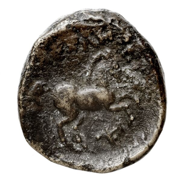 Price 338, реверс, bnf-hrc
