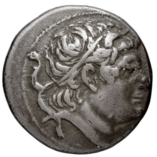 аверс Newell Demetrius Poliorcetes, no. 145