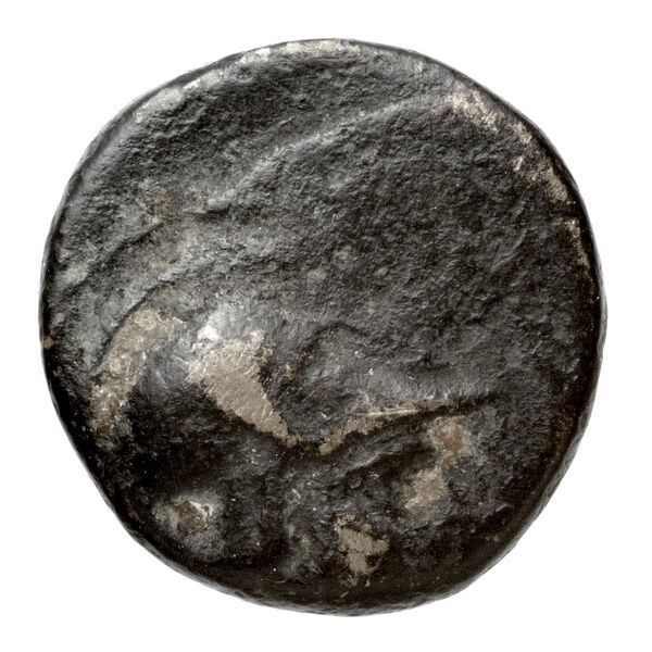 Newell Demetrius Poliorcetes, no. 34, аверс, bnf-hrc