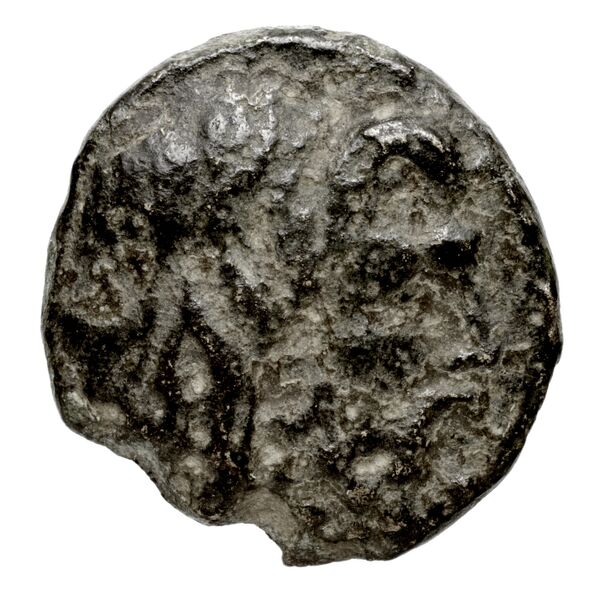 Newell Demetrius Poliorcetes, no. 181, аверс, bnf-hrc