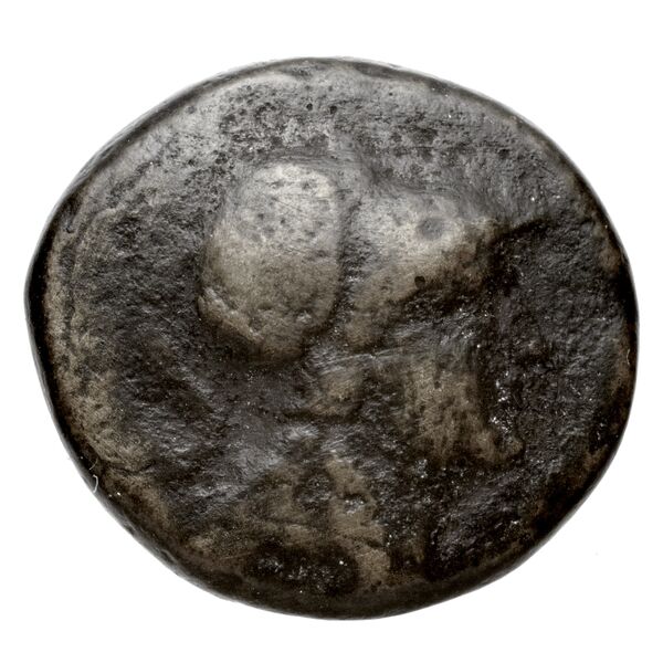 Seleucid Coins (part 1) 361, аверс, bnf-hrc