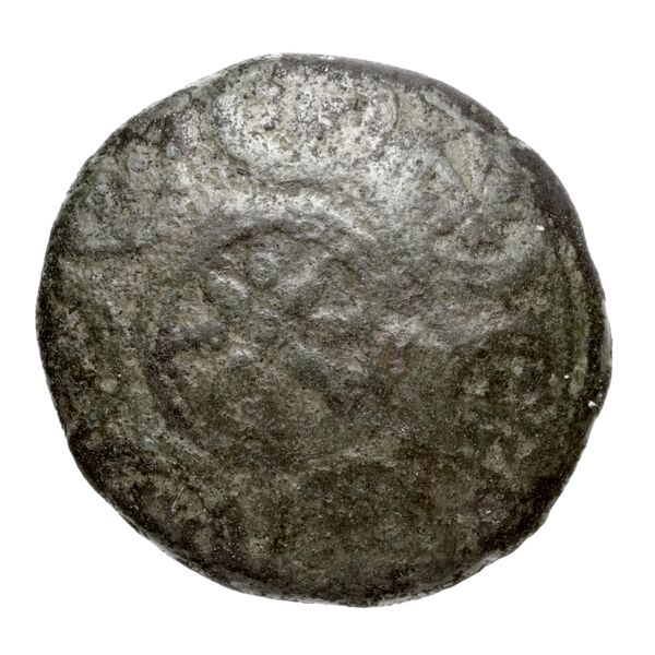 Newell Demetrius Poliorcetes, no. 181, аверс, bnf-hrc