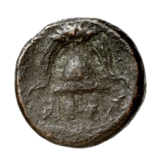 Price 2803, реверс, bnf-hrc