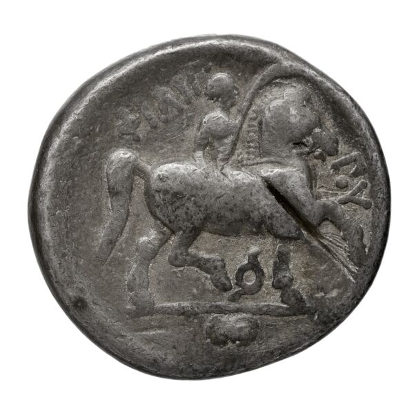 reverse LeRider Philip II 1.530