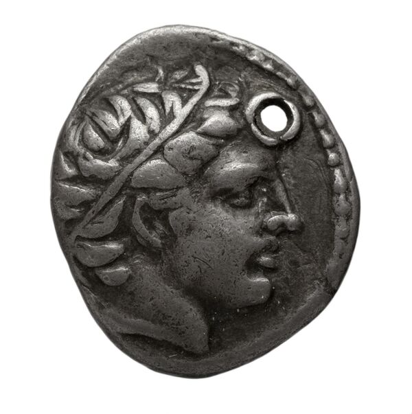 PELLA Philip II 209, аверс, bnf-hrc