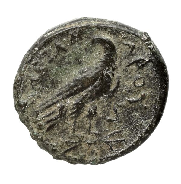 Price 161, реверс, bnf-hrc
