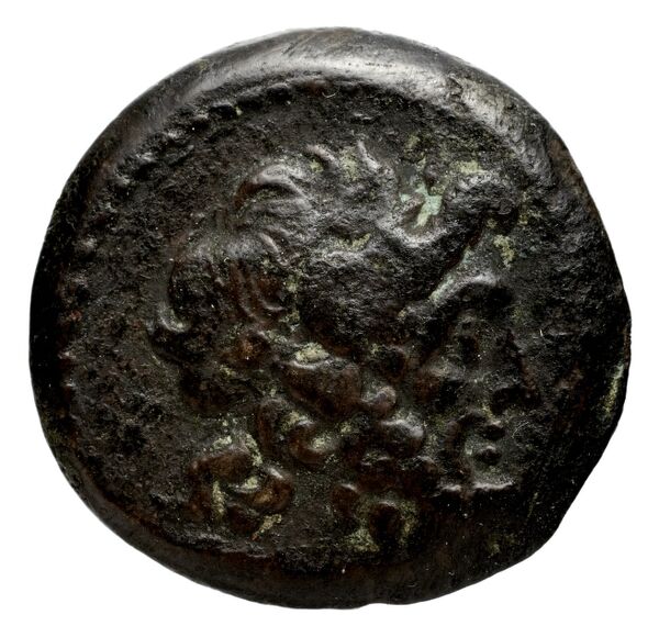 Coins of the Ptolemaic Empire Vol. I, Part II, no. B208, аверс, bnf-hrc