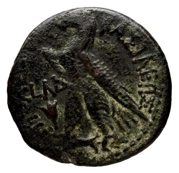 Coins of the Ptolemaic Empire Vol. I, Part II, no. B208, реверс, bnf-hrc