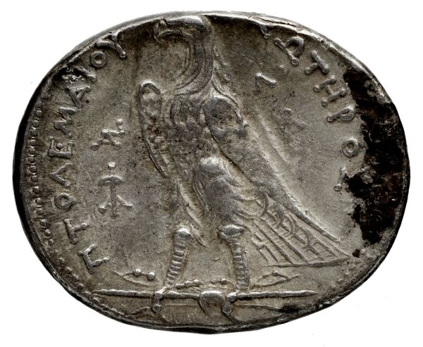 Coins of the Ptolemaic Empire Vol. I, Part 1, no. 686, реверс, bnf-hrc