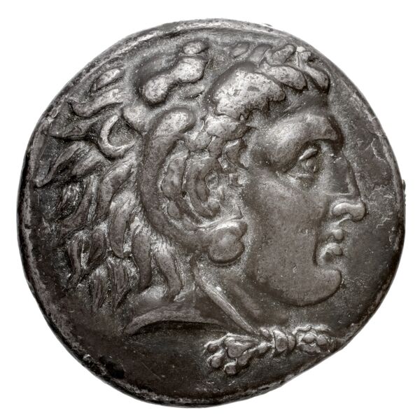 Coins of the Ptolemaic Empire Vol. I, Part 1, no. 19, аверс, bnf-hrc