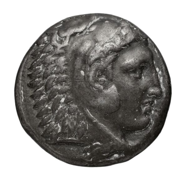 Птолемей III Эвергет obv
