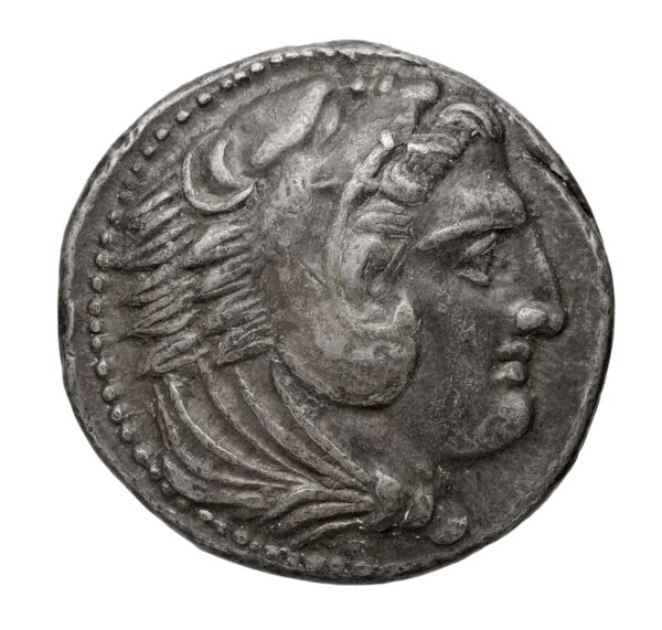 Птолемей III Эвергет obv