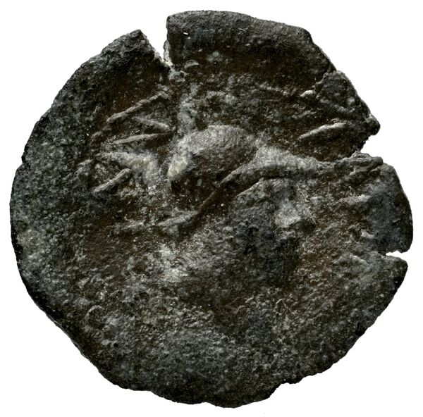 Seleucid Coins (part 2) 2133, реверс, bnf-hrc