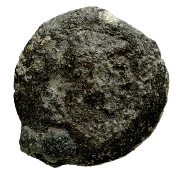 Seleucid Coins (part 2) 2133, аверс, bnf-hrc