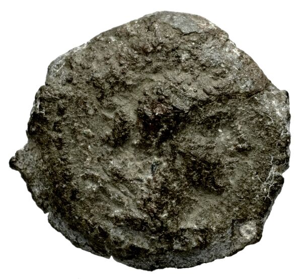Seleucid Coins (part 2) 2133, аверс, bnf-hrc