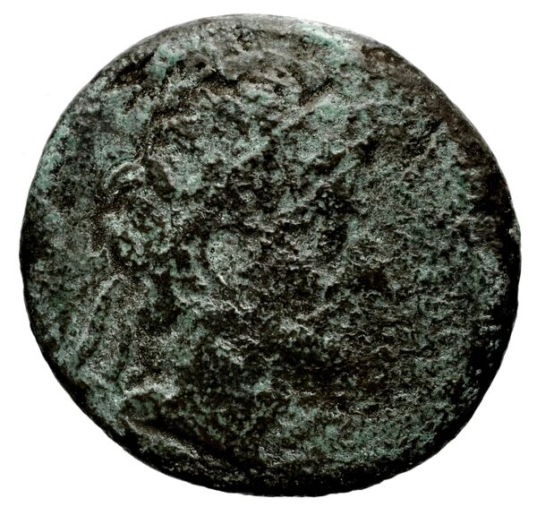 аверс Seleucid Coins (part 1) 791